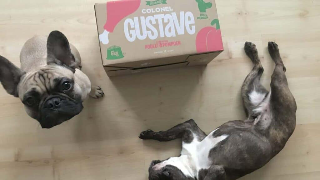 L’abonnement de croquettes pour chat et chien de Colonel Gustave