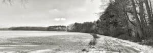 Neige forêt de Meerdael