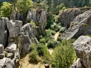 Balades dans la réserve naturelle de Fondry des Chiens