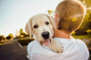 puppy in de armen van zijn baasje