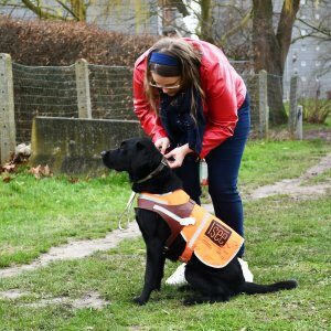 training voor blinde honden - Isee