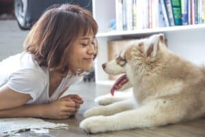 chien et son maître couché