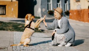 een hond die pronkt voor zijn baas