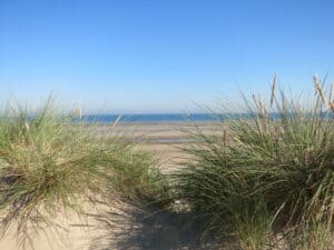 beste Belgische stranden om met uw hond te wandelen