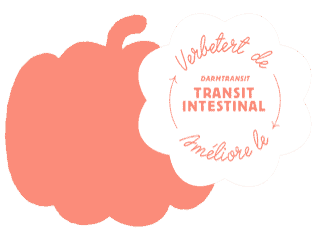 Potiron pour le transit intestinal