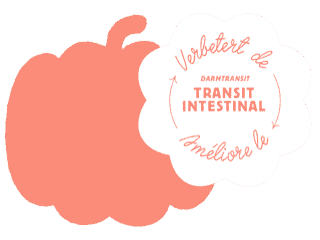 Pumpkin for intestinal transit