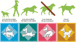 bruxelles réglementation chien