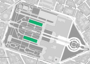 cinquantenaire chien autorisé