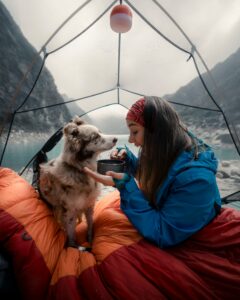 Prévoir à manger pour son chien pendant les randonnée