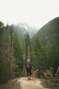 Randonnée avec son chien