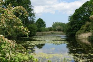 Natuurreservaat Blankaart