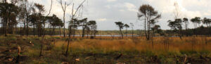 Stappersven is een prachtige plek voor een wandeling langs het water