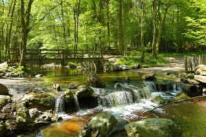 La vallée de la Hoëgne comme idée pour une promenade au bord de l'eau