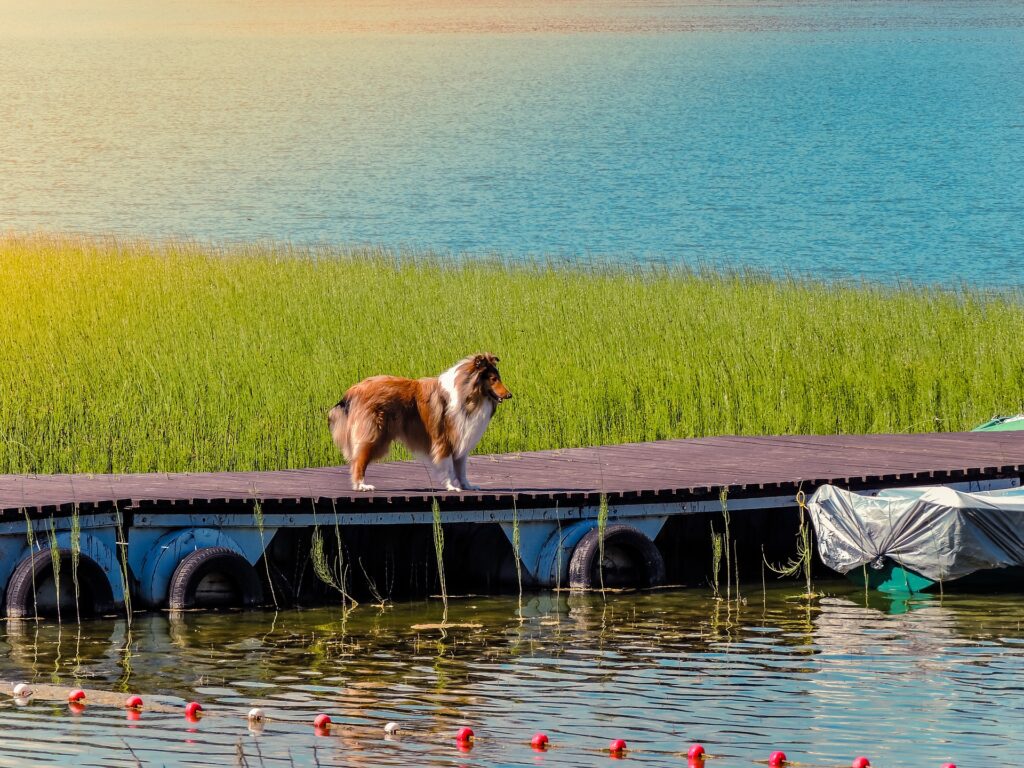 Promenades au bord de l’eau en Belgique: Notre top 10