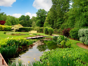 jardin-bambois pour une promenade au bord de l'eau