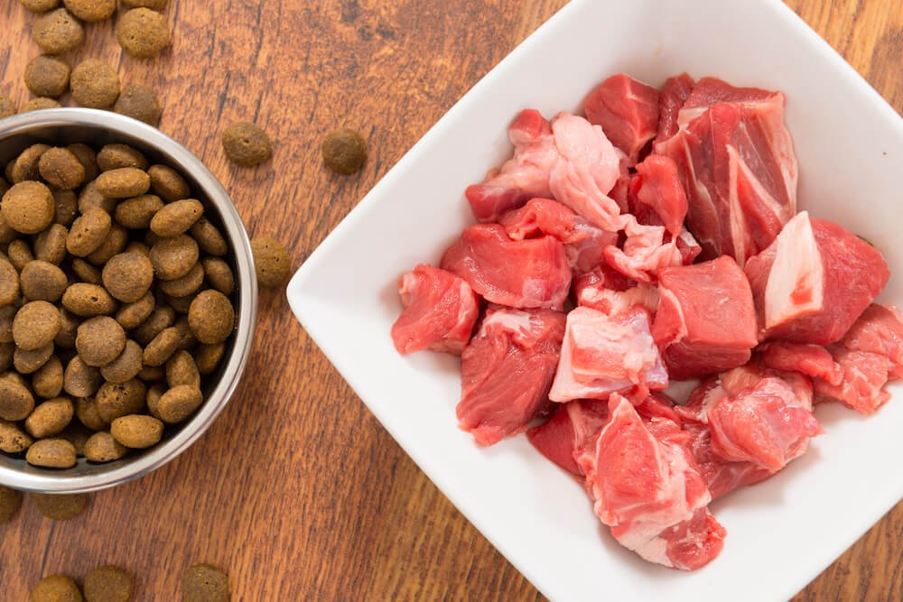 De la viande fraîche de qualité dans les croquettes Colonel Gustave