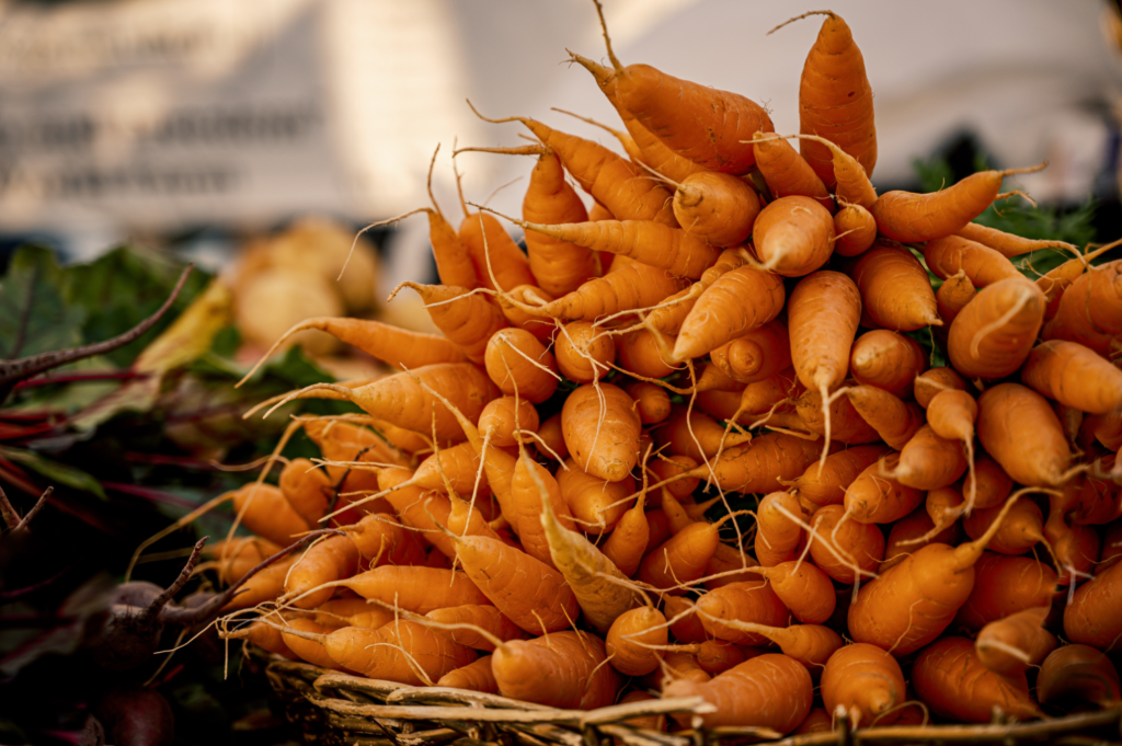 Pourquoi mettre des carottes dans nos croquettes pour chiens et chats ?