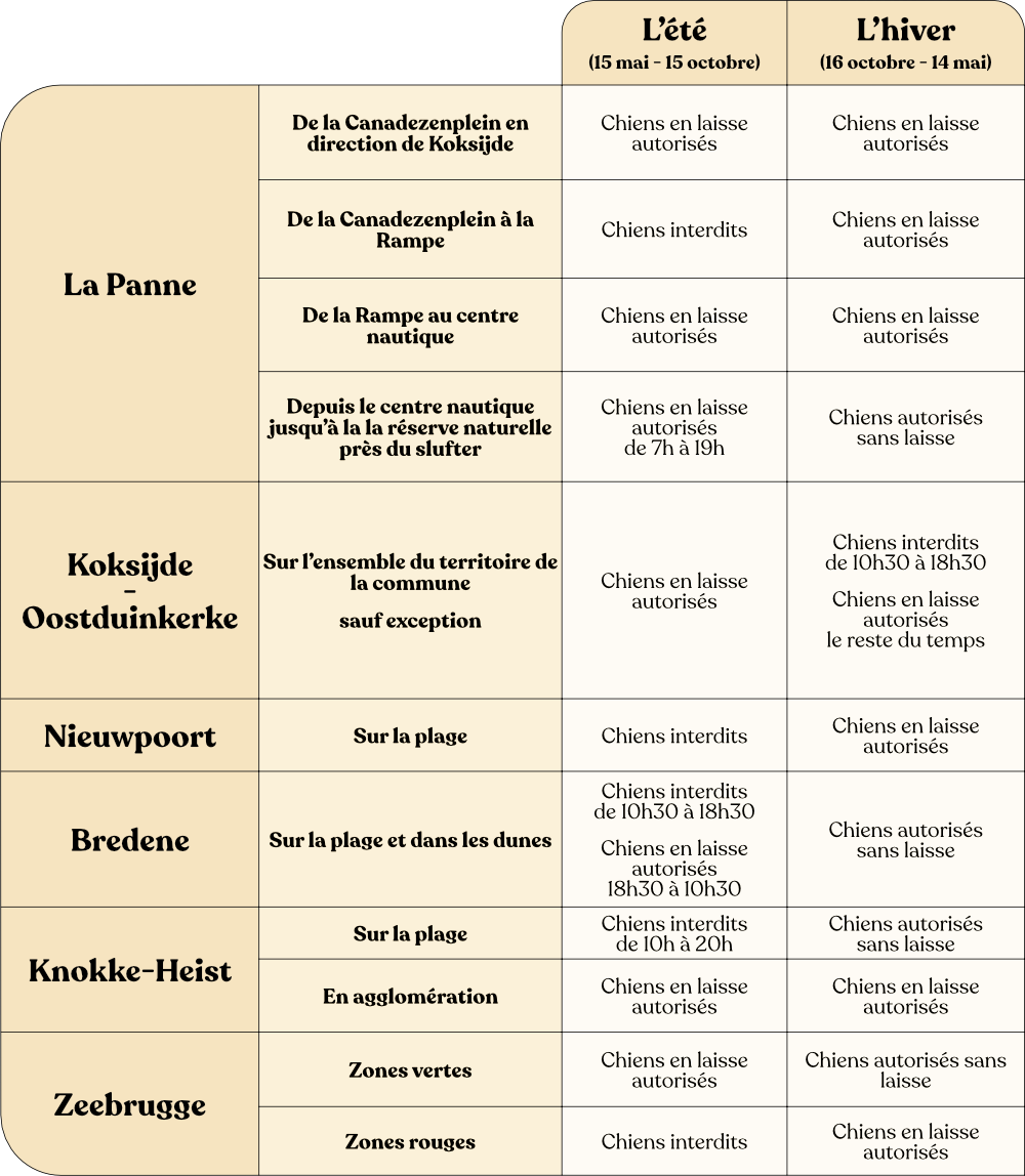 Welke Belgische stranden kan ik bezoeken met mijn hond?