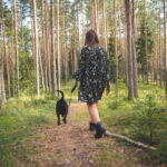 La plus belle promenade à faire avec son chien dans les forêts ardennaises de Belgique