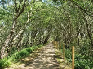 Promenade à Zandpanne en Flandre