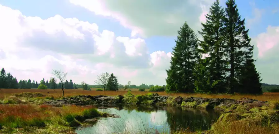 meilleure promenade en ardenne belge