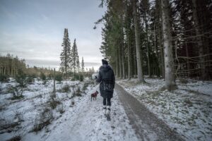 Une propriétaire de chien se promène dans les forêts ardennaises enneigées