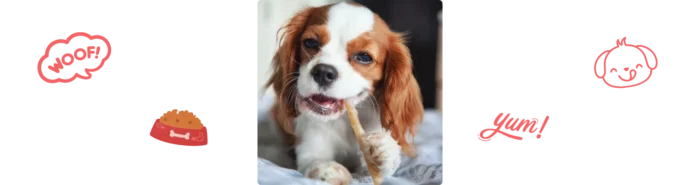 Chien qui mange une friandise