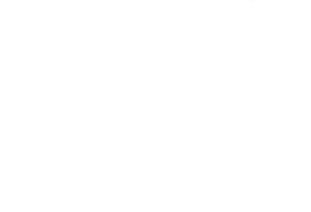 Colonel Gustave