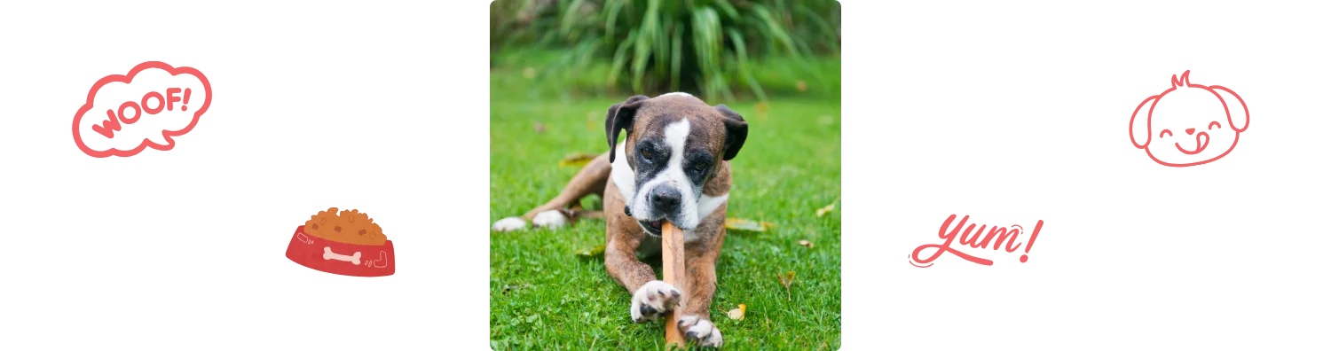 Chien qui mange un baton