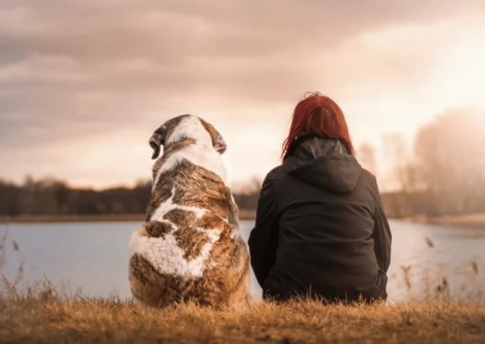 Découvrez l’âge humain de votre chien rapidement