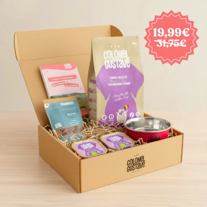 Boîte d'essai pour chien