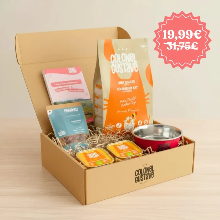 Boîte d'essai pour chat