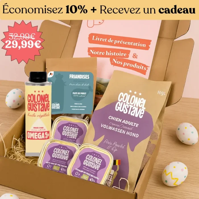 Boîte de Pâques pour chien
