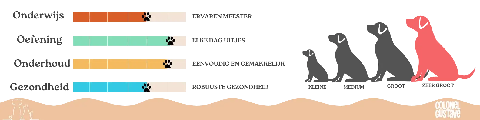 Kenmerken van de newfoundlander