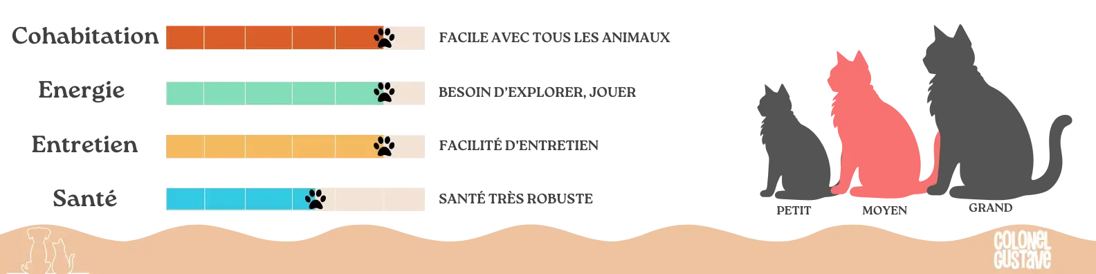 Caractéristiques du Balinais