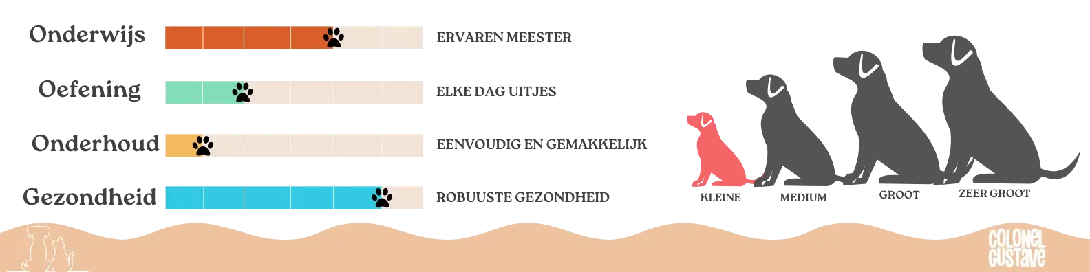 Kenmerken van de Lhassa Apso