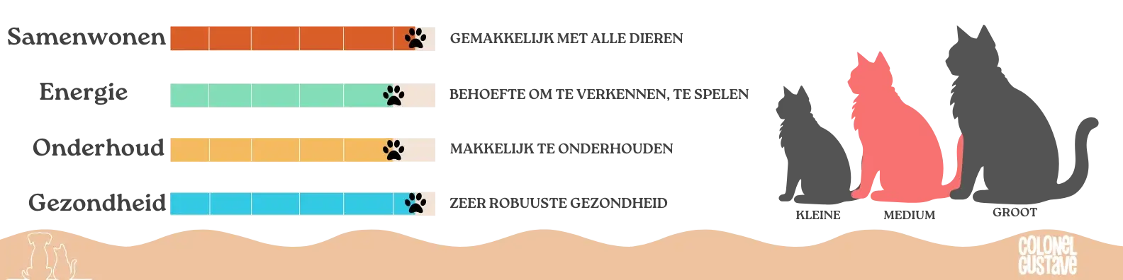 Kenmerken van de Turkse Angora