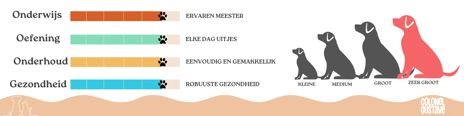 Kenmerken van de Argentijnse dog