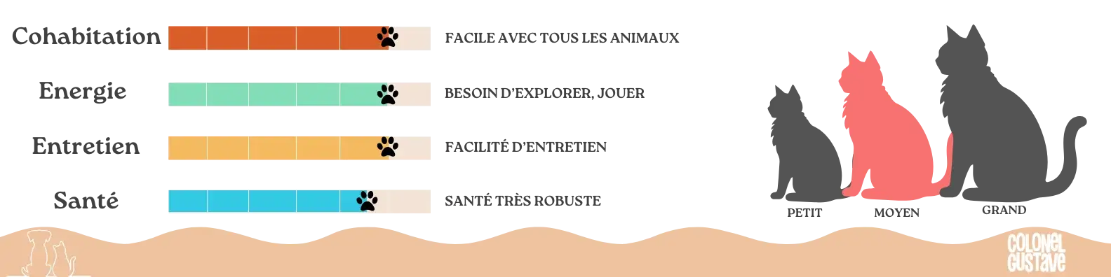 Caractéristiques du Lykoi