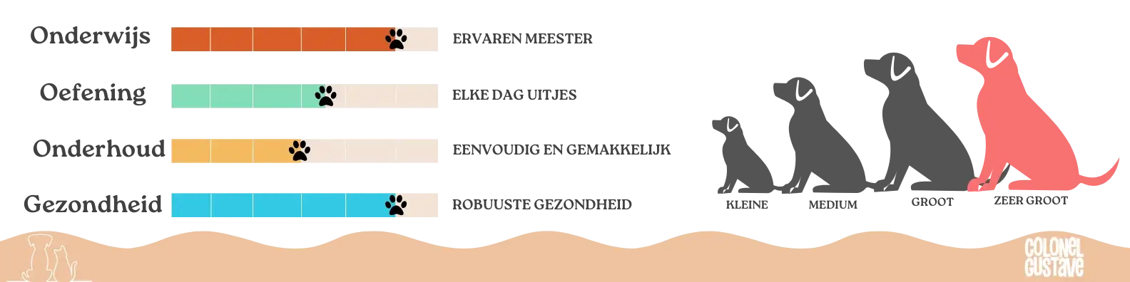 Kenmerken van de Kaukasische Herdershond