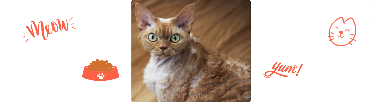 Aliment du Devon Rex