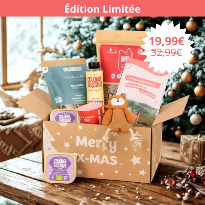 Boîte de Noël Colonel Gustave – Édition Chien