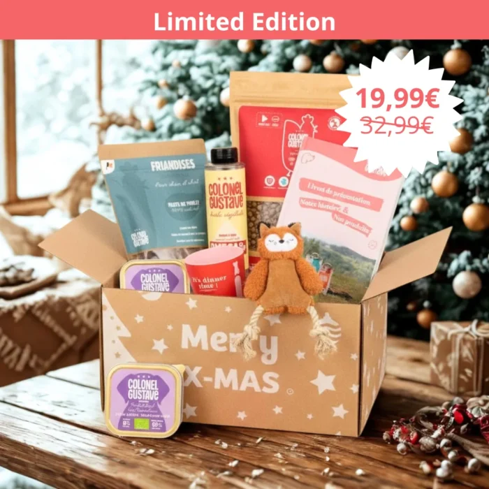 Colonel Gustave Christmas Box – Dog Edition