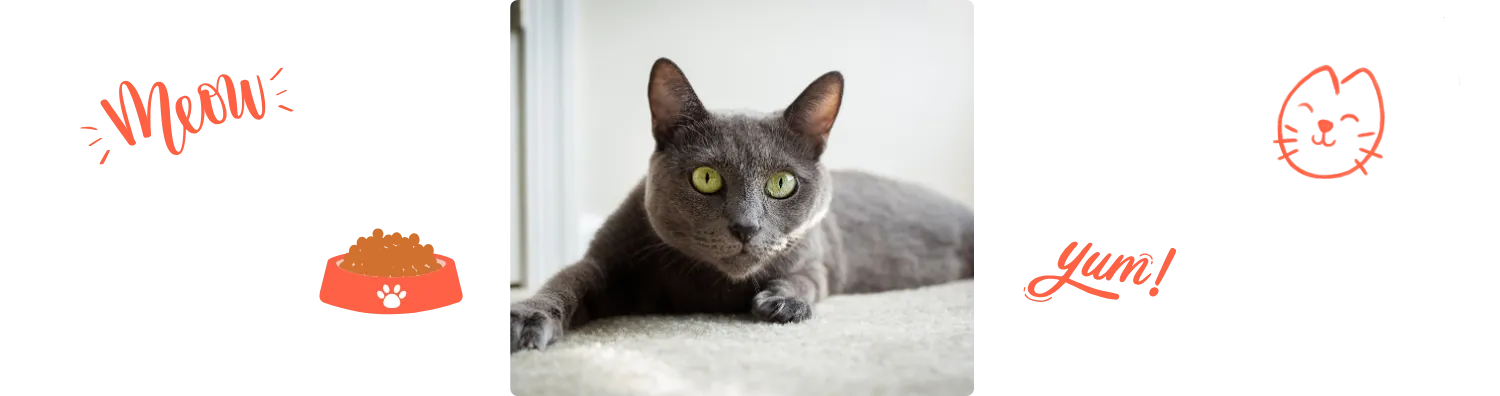 Aliment du Bleu Russe