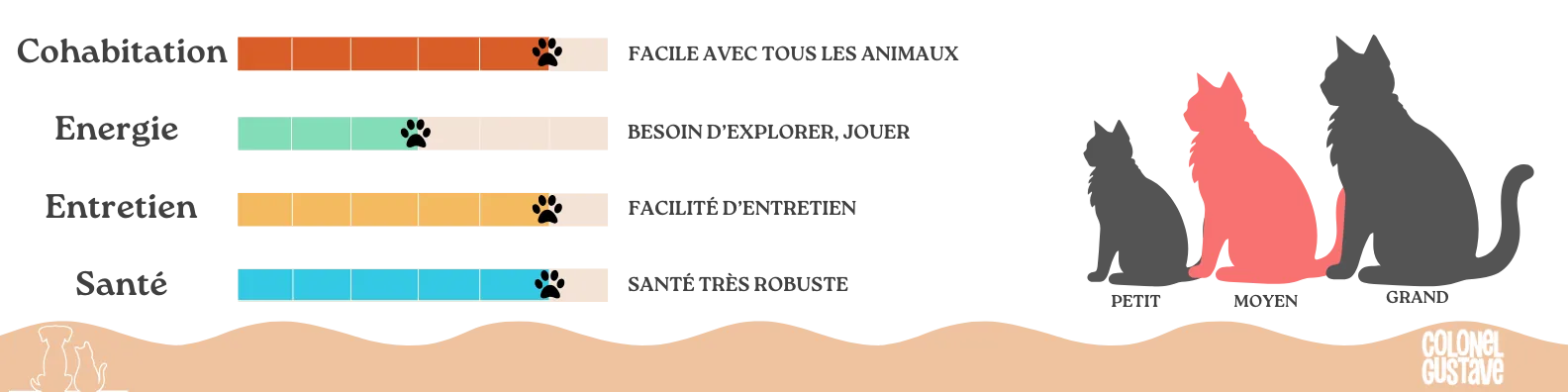 Caractéristiques du Bleu Russe