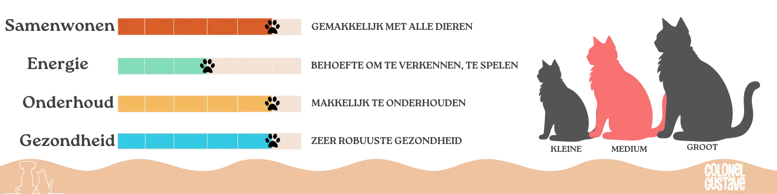 Kenmerken van de Blauwe Rus