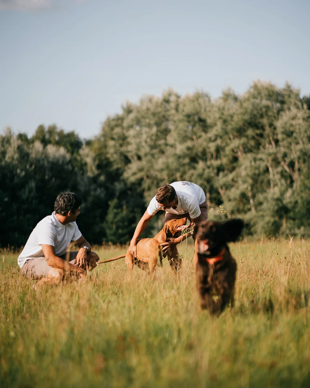 Arnaud Henroz et Arnaud Gustin, fondateurs de Colonel Gustave, avec Sierra et leur chien lors d'une session canicross en Belgique